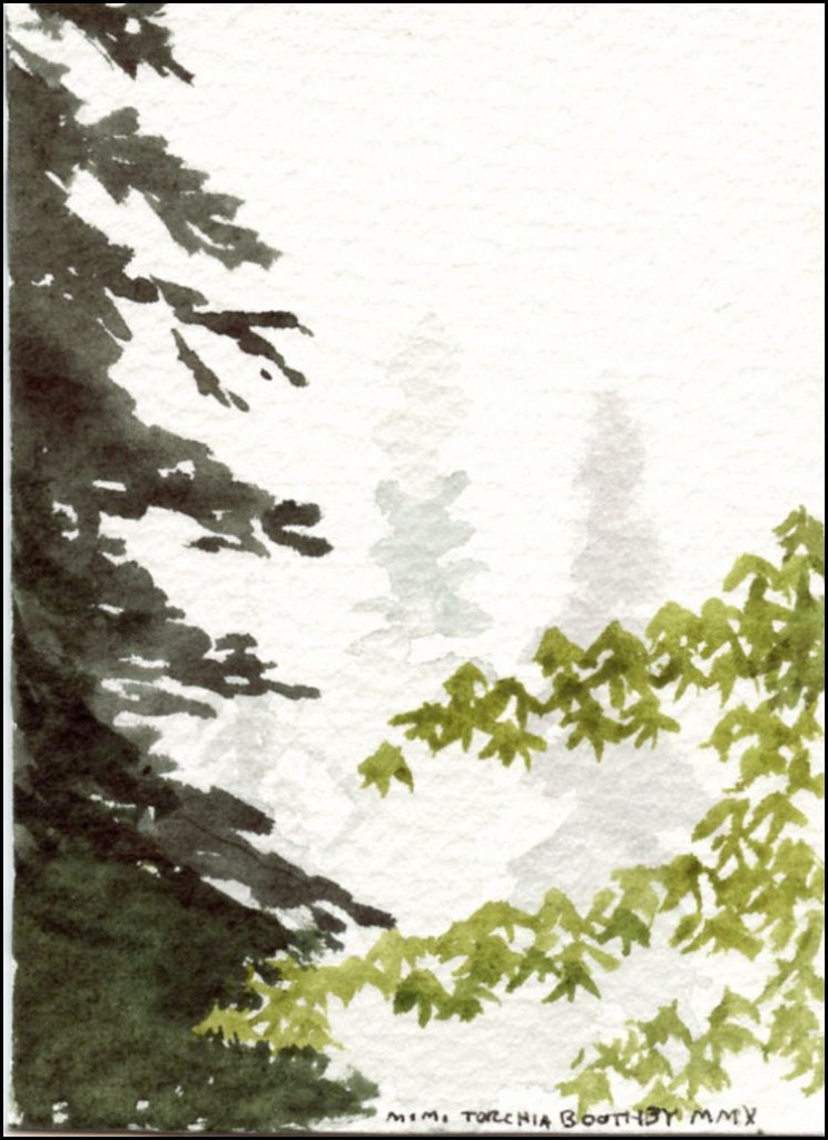 foresta467