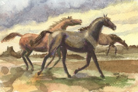 gallopings135