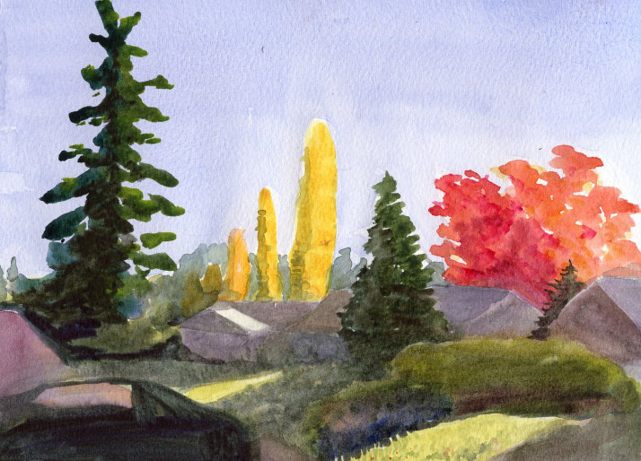autumntrees305