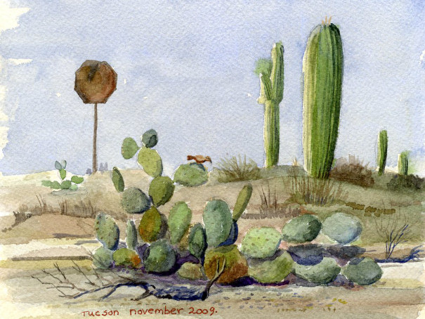 tucson336