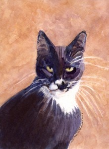 carloscat604