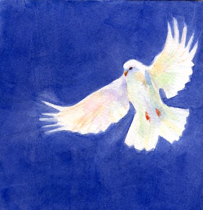 dove690