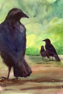 3crows791