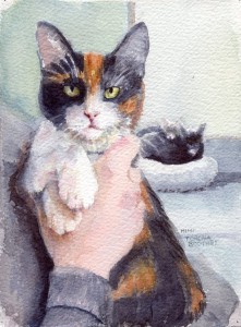 meggykitten795