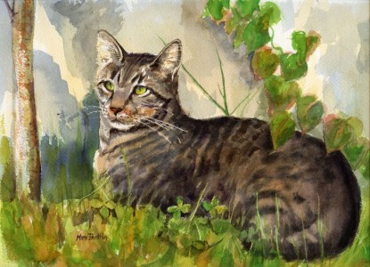 petercat