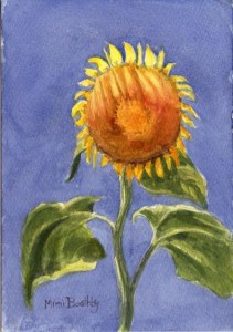 sunflowerblue