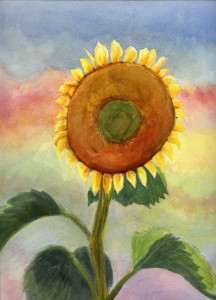 sunflowerB