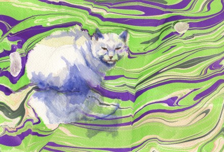 greenmarbledcat