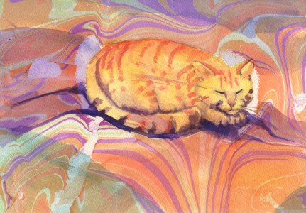 orangemarblecat