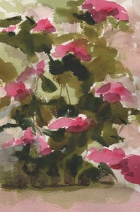 day2flowers