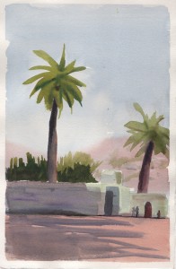 palmtrees