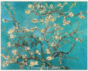 Blossoming AlmondTree001