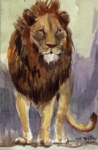 lion