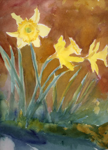 daffies